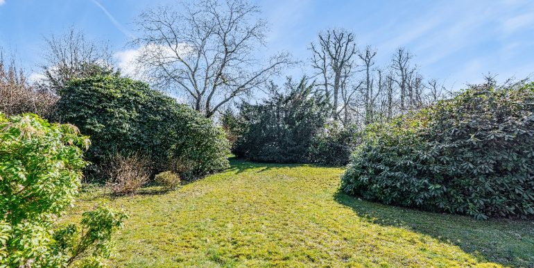 Blick in den Garten