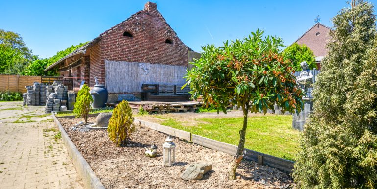 Gartenbereich 1