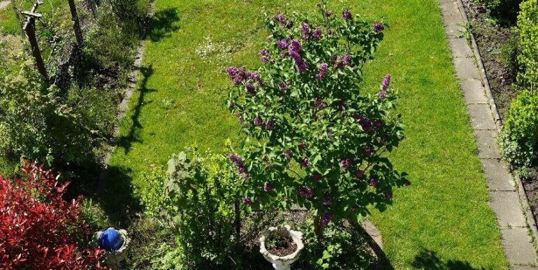Gartenüberblick