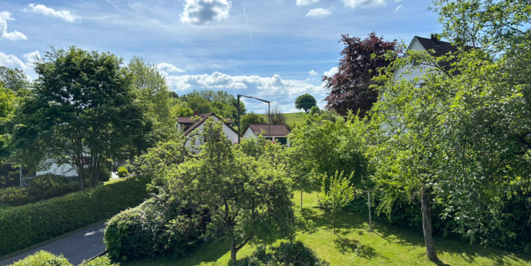 Blick in den Garten