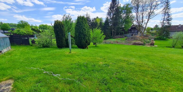Blick ins Grüne