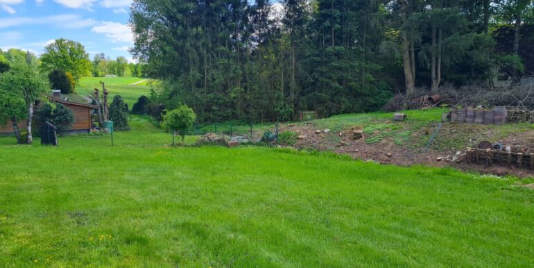 Blick ins Grüne