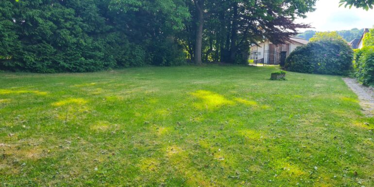 Blick ins Grüne