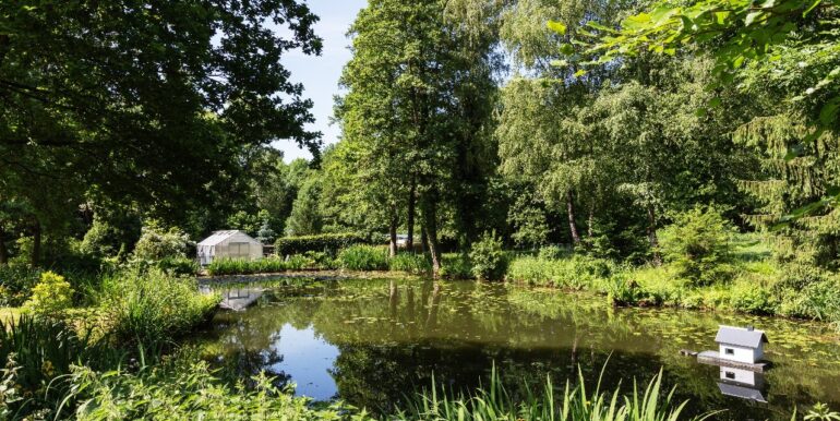 Teich im Garten