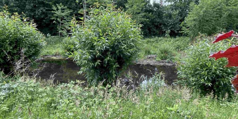 Angrenzend - der Moersbach