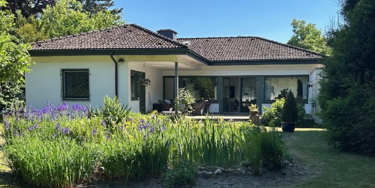 Gartenansicht mit Teich