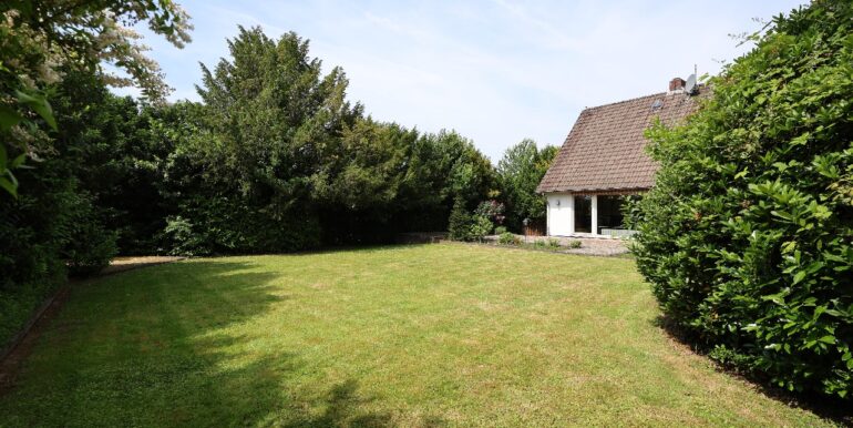 Blick in den Garten