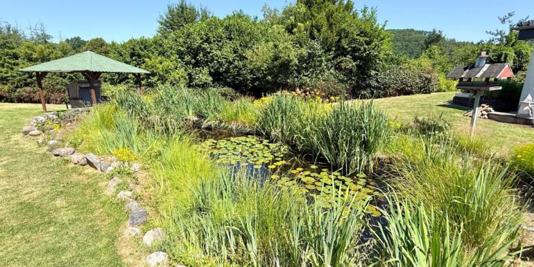 Großer Fischteich