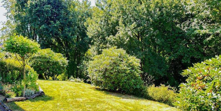 Rasenfläche hinter dem Haus
