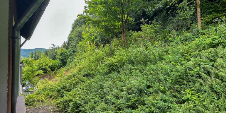 Grüne Ansicht vom Balkon