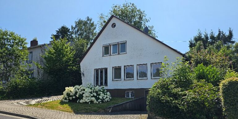 Fronansicht