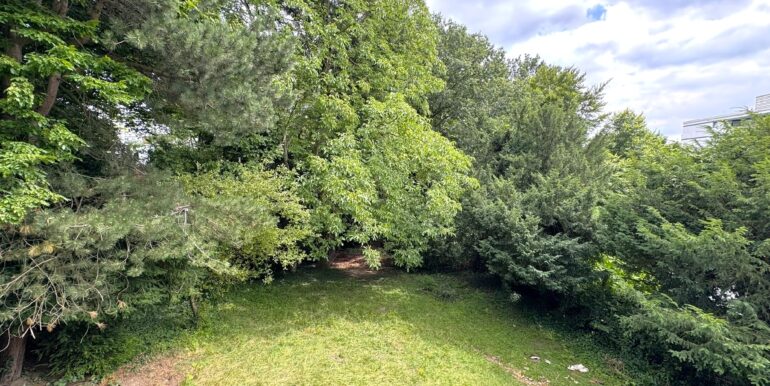 Blick in den Garten