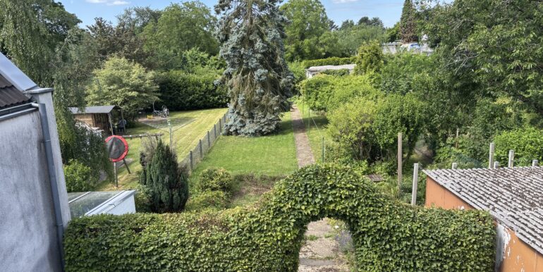Blick in den Garten