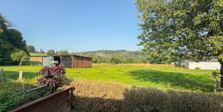 Blick vom Grundstück