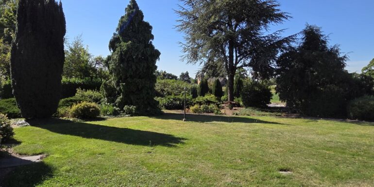 Blick in den Garten