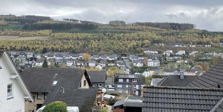 Aussicht vom Balkon und Wohnzimmer