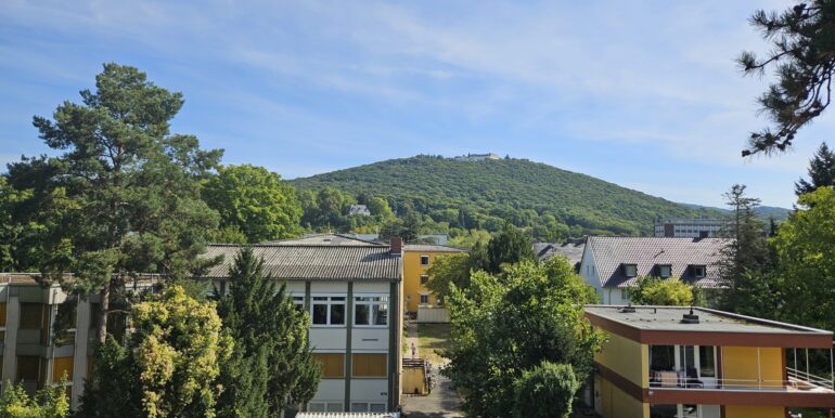 Ausblick Balkon