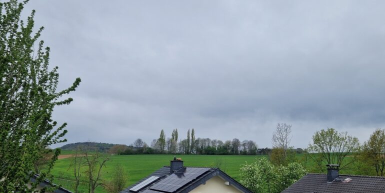 Ausblick