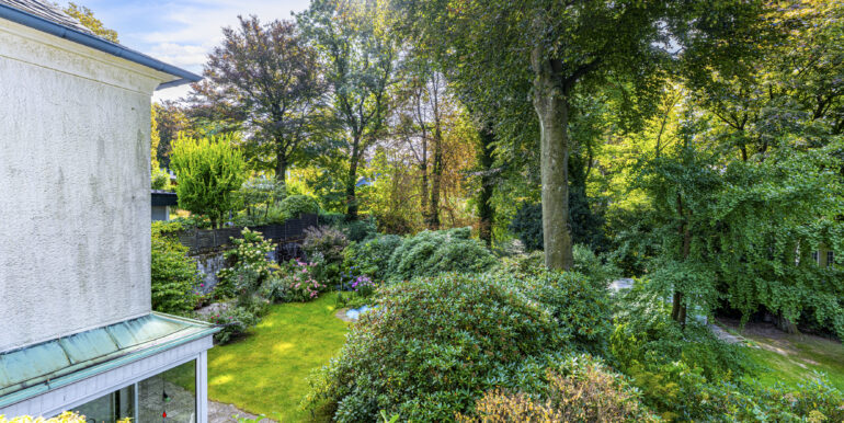 Blick in den Garten