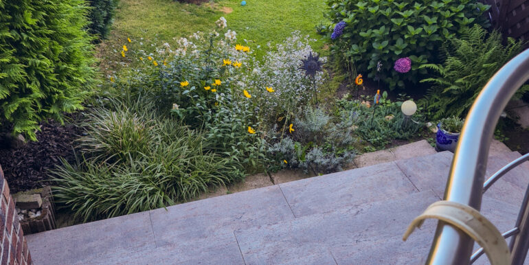 Blick in den Garten