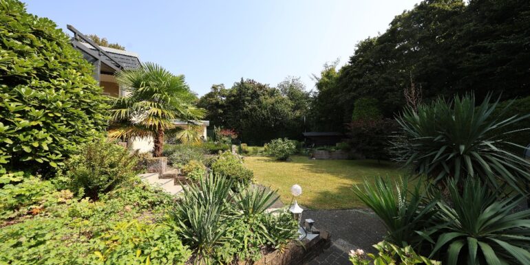 Blick in den Garten