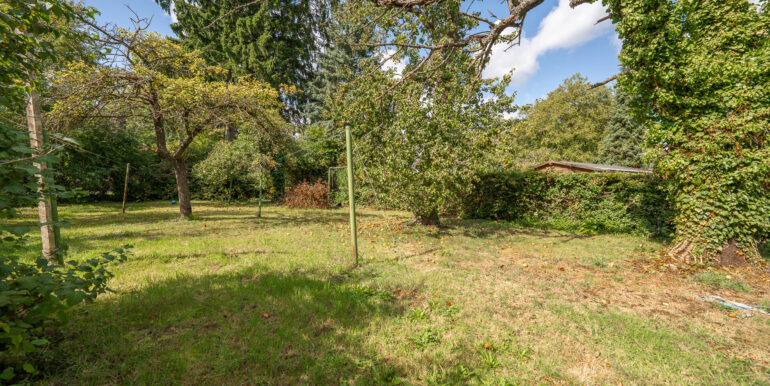 Gartenbereich 5