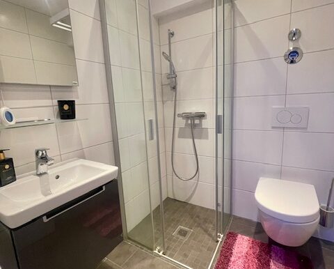 Gäste-WC mit ebenerdiger Dusche