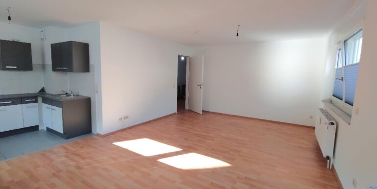 Wohnbereich mit Küche