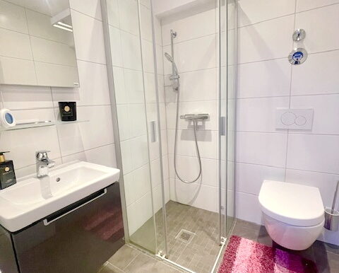 Gäste-WC mit ebenerdiger Dusche