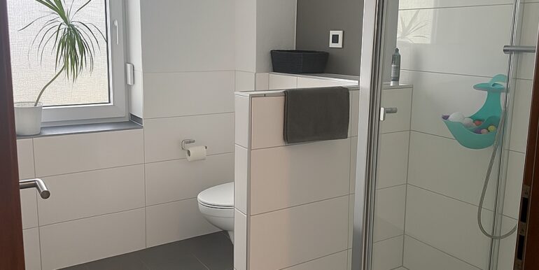 2. Tageslichtbad mit Walk-In-Dusche