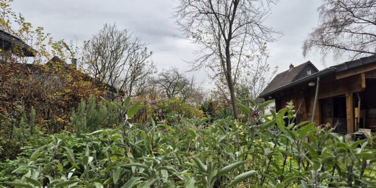 Verwunschener Garten