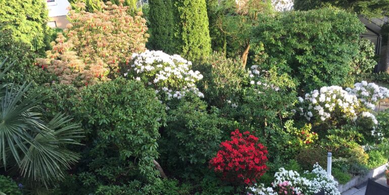 ...mit toller Farbenpracht