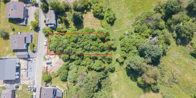 Drohnenaufnahme eingezeichnet