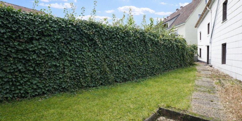 Rückseitiger Garten