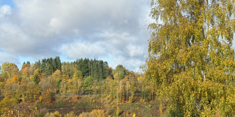 Weitblick