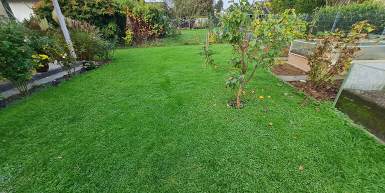 Blick in den Garten