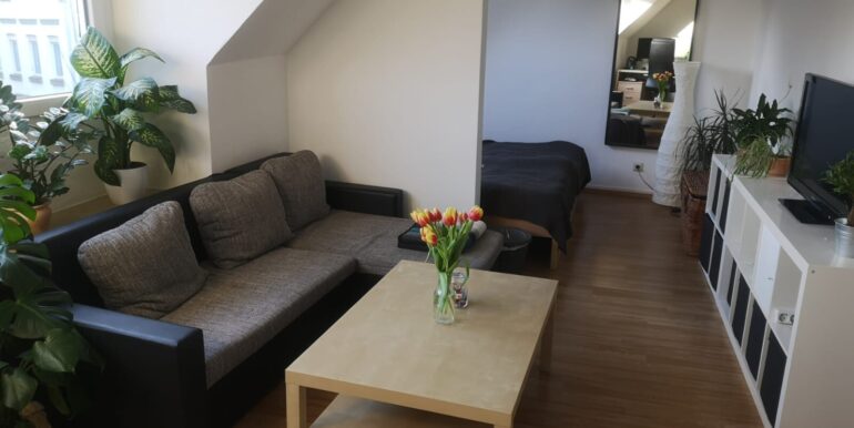 Wohn und Schlafzimmer