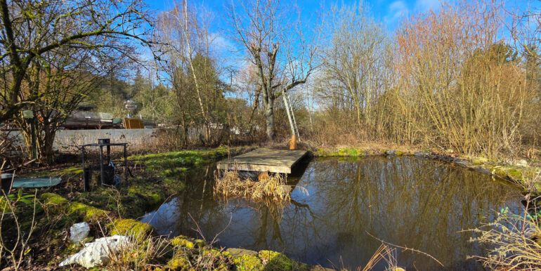 Teich