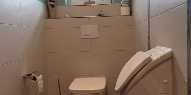 Gäste- WC EG