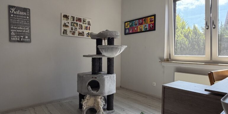 ...oder Spielzimmer für Katzenkinder