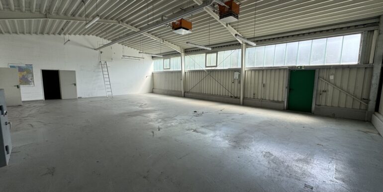 Halle (5)