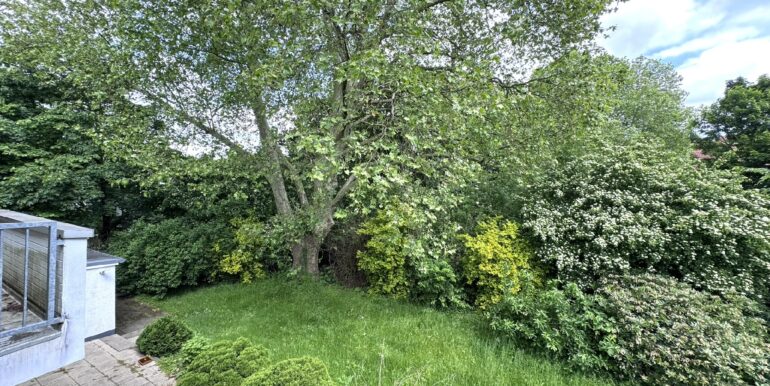 Blick in den Garten