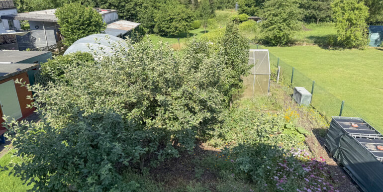 Blick aufs Grundstück