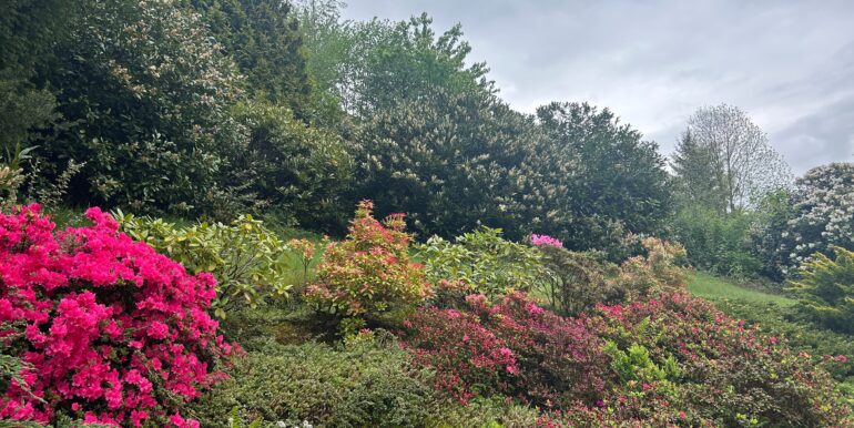 Garten Teilansicht
