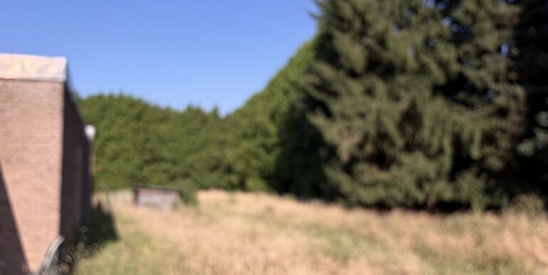 Wiese hinter dem Haus