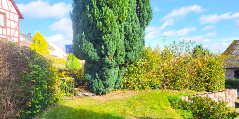Garten vor dem Haus