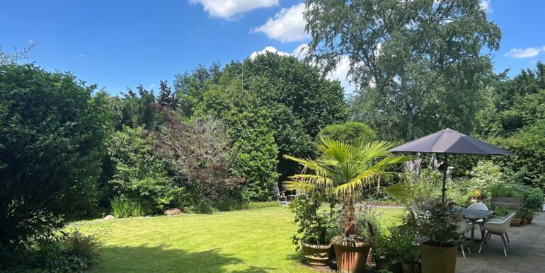 Blick in den Garten