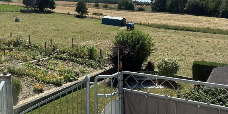 Terrasse und Abgang Garten DG