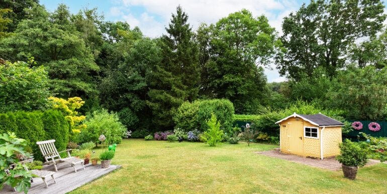 Blick in den Garten