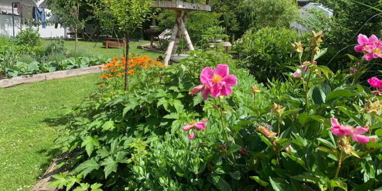 Traumgarten